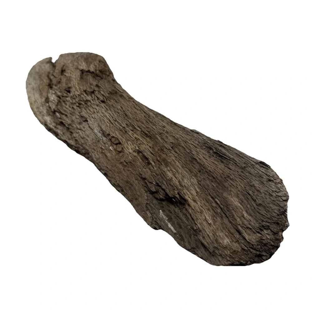Twisted California Coast Driftwood Form – Dark Weathered Grain 13”